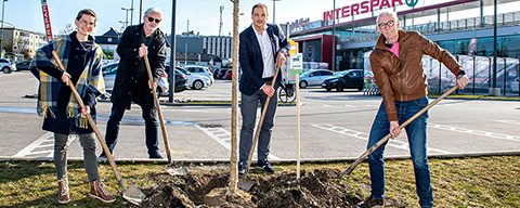 Baumpflanzung INTERSPAR Steyr mit der INTERSPAR Geschäftsführung