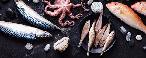 Mehrere verschiedene Fische und Meeresfrüchte auf einem dunklen Tisch