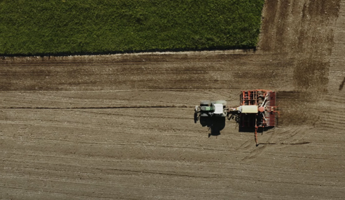 Ein Bauer vom Bio Lutz mit einem Traktor auf einem Feld
