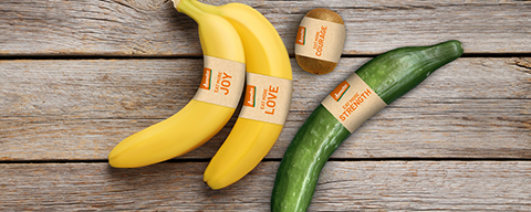 Zwei Bananen, eine Salatgurke und eine Kiwi auf einem Holztisch 