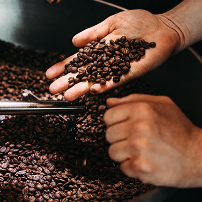 Frisch geröstete Kaffeebohnen in einer Hand