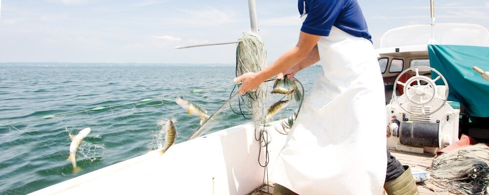 Ein Mitarbeiter von Fischerei Gehrer mit einem Netzt in einem Boot