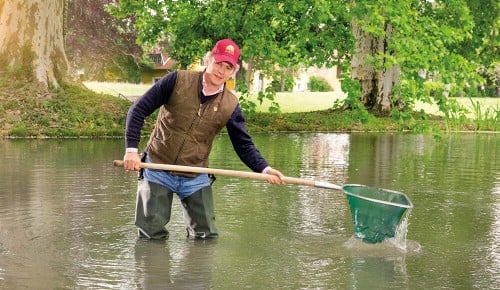Ein Mitarbeiter der Teichwirtschaft Gut Dornau mit einem Kescher im Wasser