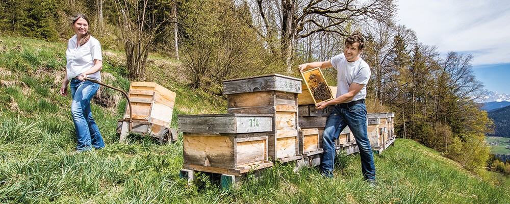 Zwei Mitarbeiter:innen der Imkerei Mayrhofer neben Bienenkästen