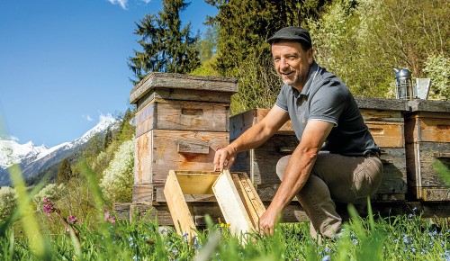 Ein Mitarbeiter der Imkerei Span neben Bienenkästen im Gebirge