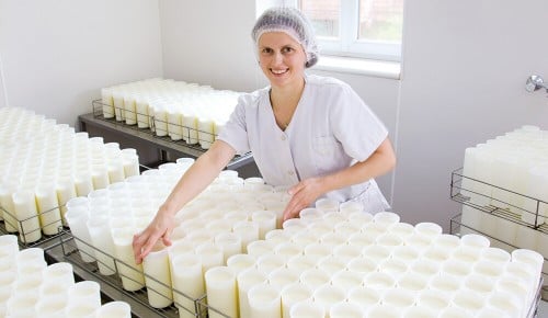 Ein Mitarbeiter von Biberbacher Schafmischkäse beim Machen von Käse