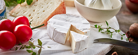 Verschiedene Arten von Käse auf einer Platte