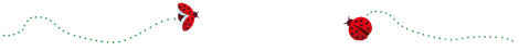 Eine Grafik von einem kleinen Marienkäfer, der ins Bild krabbelt