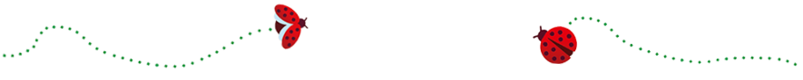 Eine Grafik von einem kleinen Marienkäfer, der ins Bild krabbelt