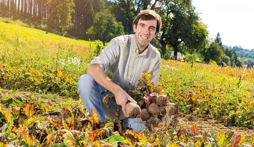 Ein Mitarbeiter von Bio Lutz in einem Feld mit Rüben