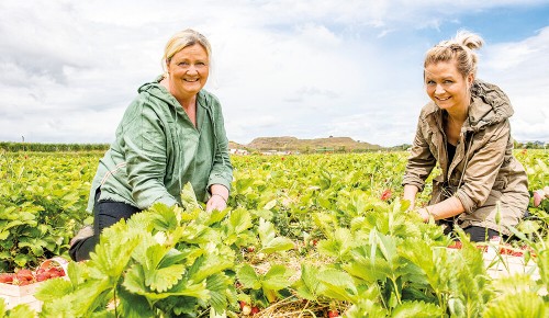Zwei Mitarbeiterinnen vom Biohof Radl in einem Gemüsefeld