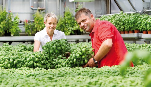 Ein Mann und eine Frau vom Gartenbau Winklhofer neben Kräuterpflanze