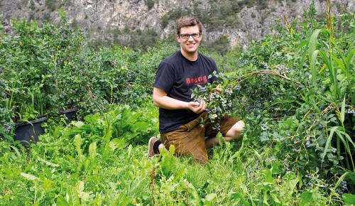 Ein Mitarbeiter von Mair's Beerengarten neben einem Strauch Heidelbeeren