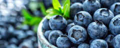 Viele, dunkelblaue Heidelbeeren