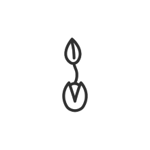Keimling-Icon