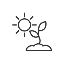 Pflanze im Sonnenschein-Icon
