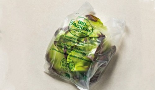 Ein Bio-Sackerl gefüllt mit einem Salatkopf