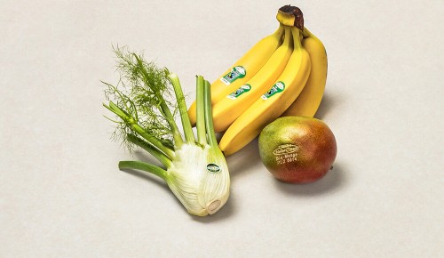 Ein Bund Bananen, ein Fenchel und eine Mango