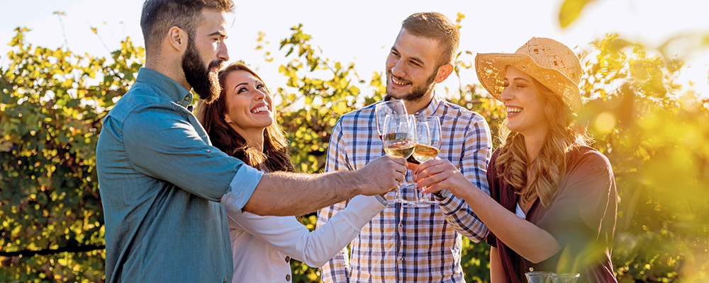 Zwei Männer und zwei Frauen stoßen in einem Weingarten mit Wein an