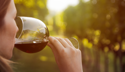 Eine Frau steht nimmt einen Schluck aus einem Weinglas mit Rotwein in einem Weingarten