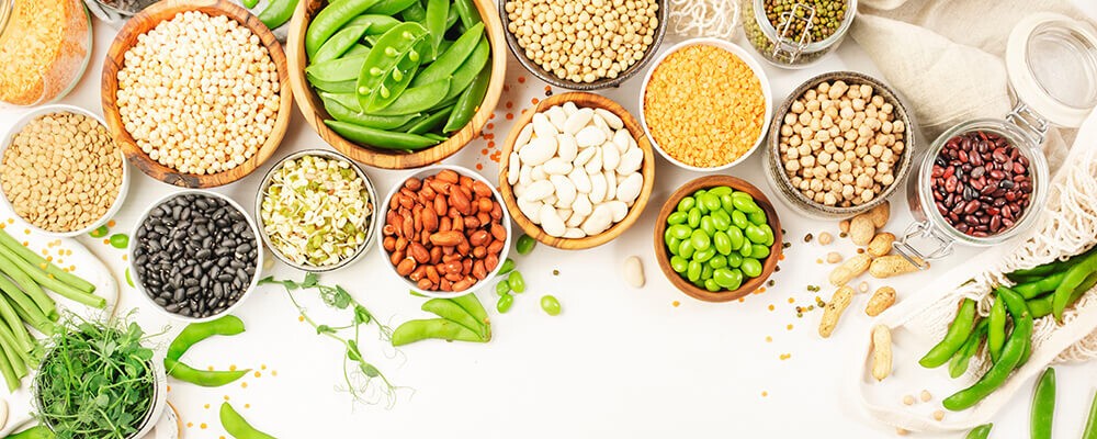 Pflanzliche proteinreiche Lebensmittel