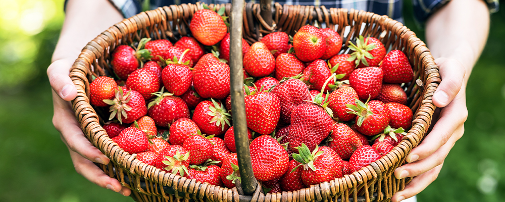 Ein Korb voller roter Erdbeeren