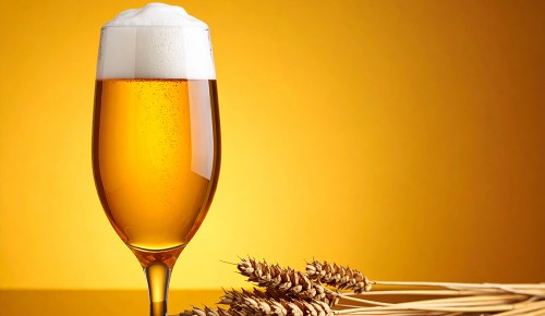 Ein Glas voller Bier vor einem gold-gelben Hintergrund