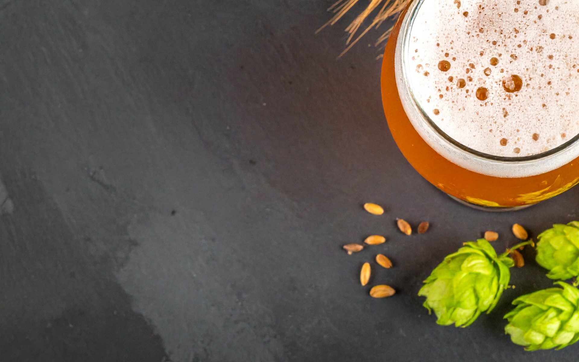 Ein Glas mit Bier, Hopfenblüten und Malzkörner auf einem dunklen Untergrund