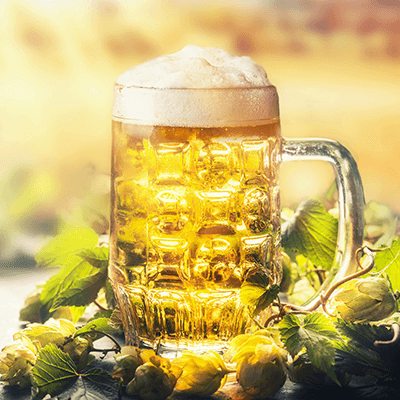 Ein gläserner Bierkrug voller hellem Bier neben Hopfenknollen