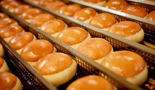 Frische Marillenkrapfen nach dem Ausbacken in heißem Fett
