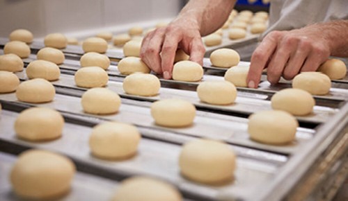 Teiglinge von frischen Krapfen auf Backblechen