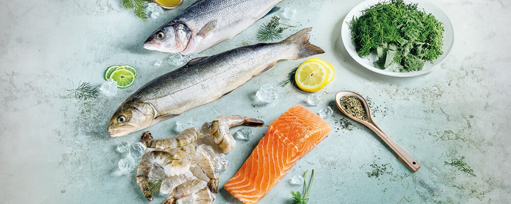 Mehrere verschiedene Fischarten, Garnele und Filets auf einem hellblauen Untergrund