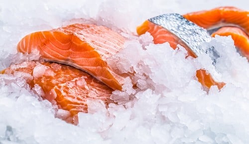 Mehrere fertig vorbereitete Stücke Lachs in einer Theke voller Eis