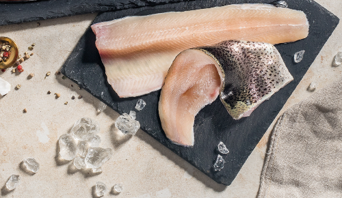 Zwei frische Seelachsfilets auf einer schwarzen Platte mit Eis