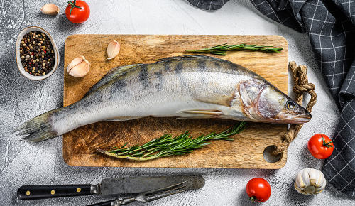 In ganzer Zander mit Dill-Zweigen auf einem Holzbrettchen