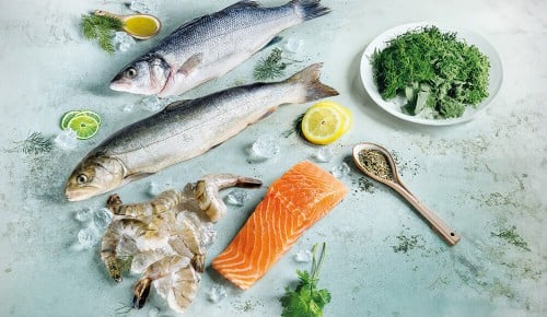 Mehrere verschiedene Fischarten, Garnele und Filets auf einem hellblauen Untergrund