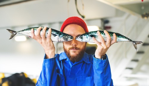 Ein Mitarbeiter einer Fischerei hält sich zwei frische Fische vor die Augen