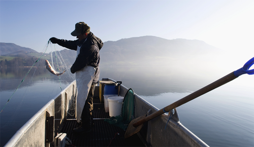 Ein Fischer in einem Boot am See mit einem Netz in den Händen