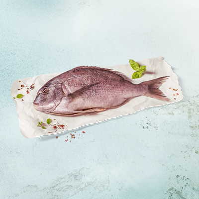 Eine frische Dorade Rosé auf einem hellen Stück Papier