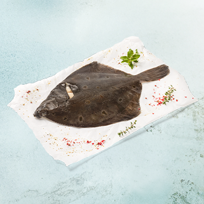 Eine Scholle auf einem hellen Blatt Papier