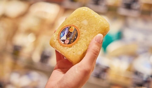 Eine Person hält einen in Plastik verpackten Graukäse in der Hand