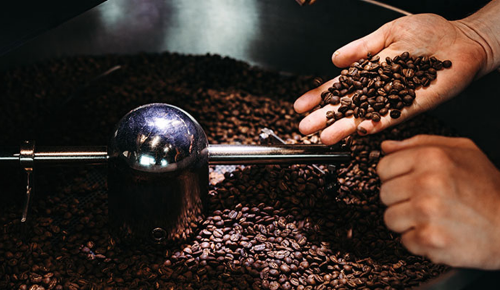 Eine Person beim Rösten von Kaffeebohnen in einer Röstmaschine