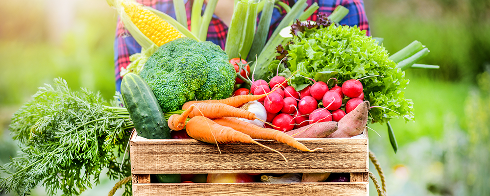 Obst und Gemüsekiste wird von armen gehalten. Die Kiste ist befüllt mit Obst und Gemüse