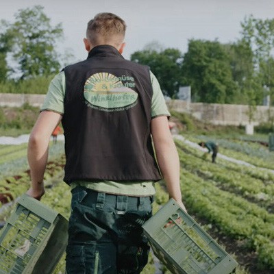 Ein Mitarbeiter vom Gartenbau Winklhofer beim Salaternten