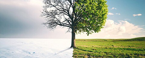 Halbiertes Bild einer Landschaft in dem die linke Seite den Winter und die rechte Seite den Frühling zeigt