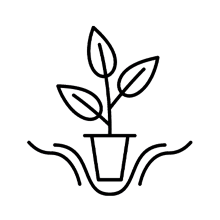 Pflanzen-Icon