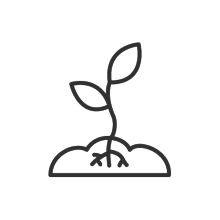 Pflänzchen-Icon