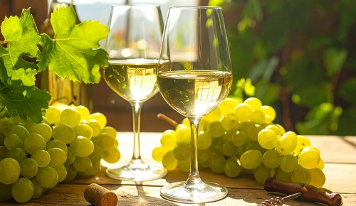 Zwei mit Weißwein befüllte Weingläser neben vielen grünen Weintrauben