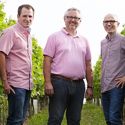 Das Team vom Weingut "Artner" in den Weinreben