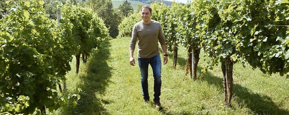 Winzer des Weingut Krispel beim Spazieren durch Weinreben im Sonnenschein